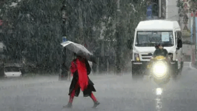 Monsoon 2025