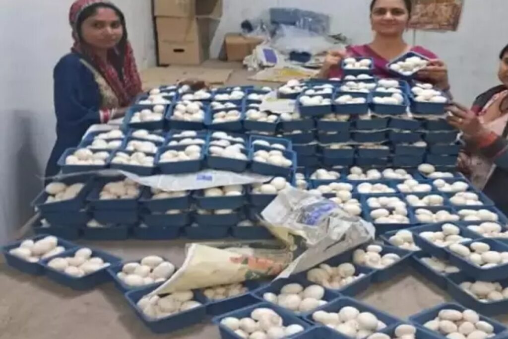 Success Story: मशरूम की खेती ने बदली महिला तकदीर, कोरोना काल में मात्र 2 कमरे में शुरू की थी खेती, अब लाखों कमा रही सोनिया